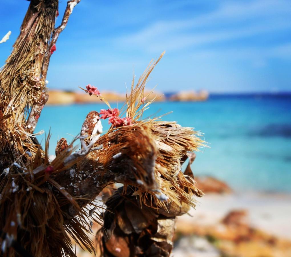 Casa Duminicheddha, Mare E Relax In Gallura Bassacutena Exterior foto